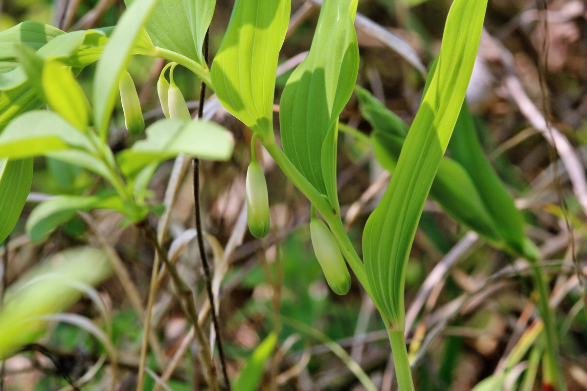 2014_04_23_00040894p_Bildgr��e �ndern