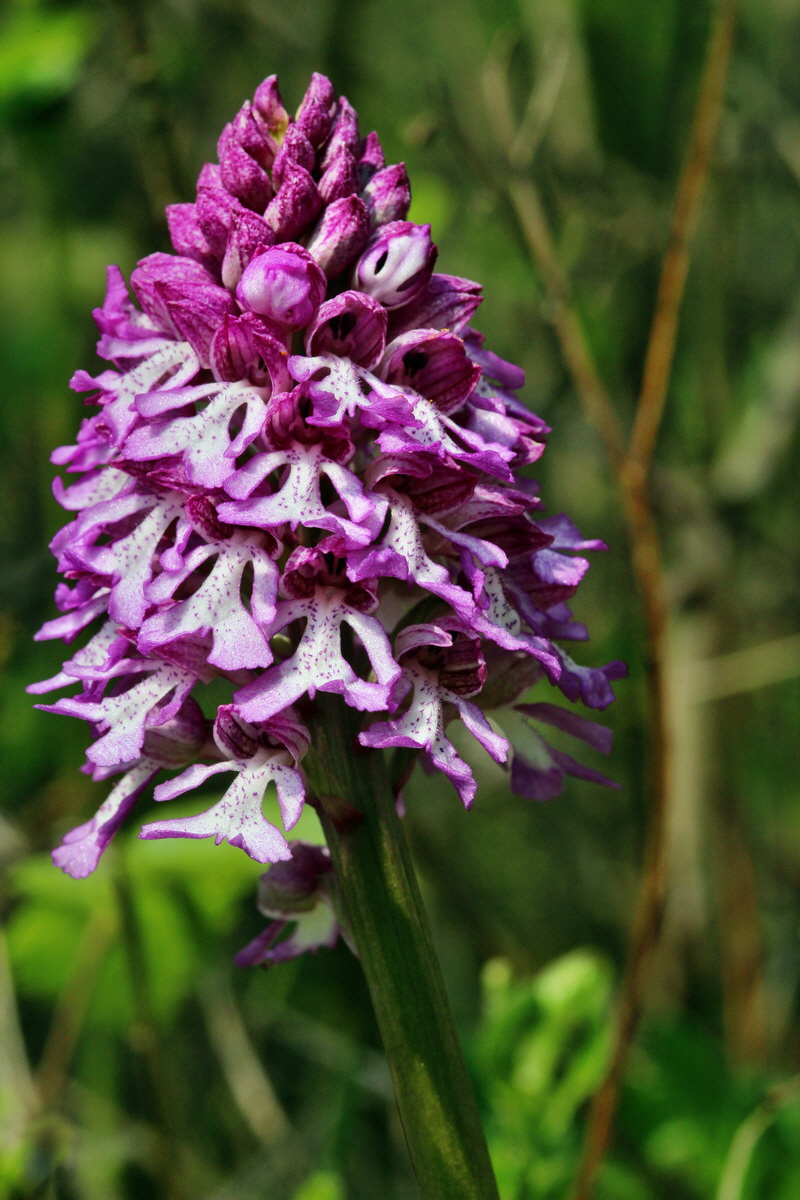 2014_04_23_00040897p_Bildgr��e �ndern