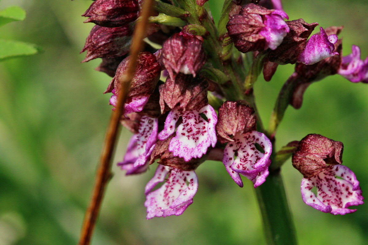 2014_04_23_00040902p_Bildgr��e �ndern