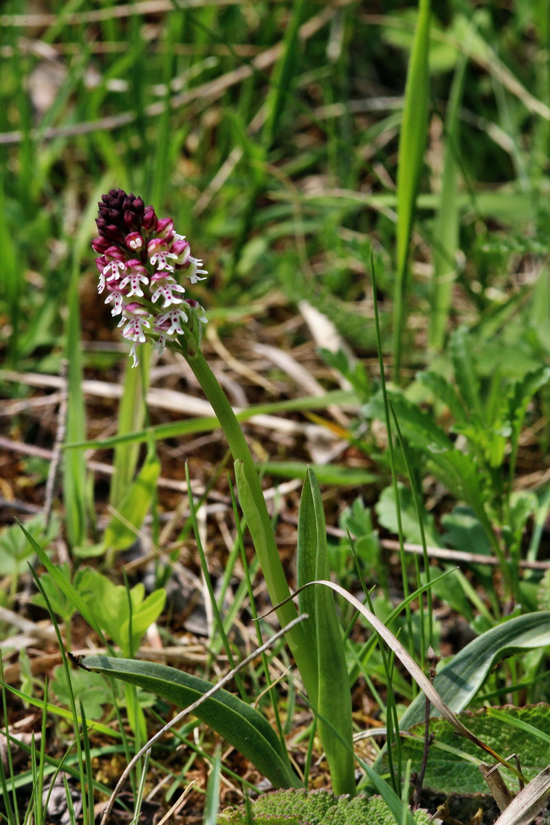 2014_04_23_00040920p_Bildgr��e �ndern