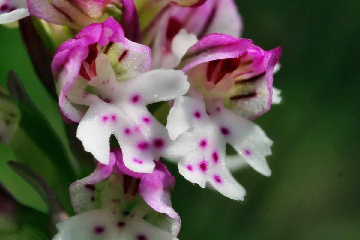 2014_04_23_00040928pa_Bildgr��e �ndern