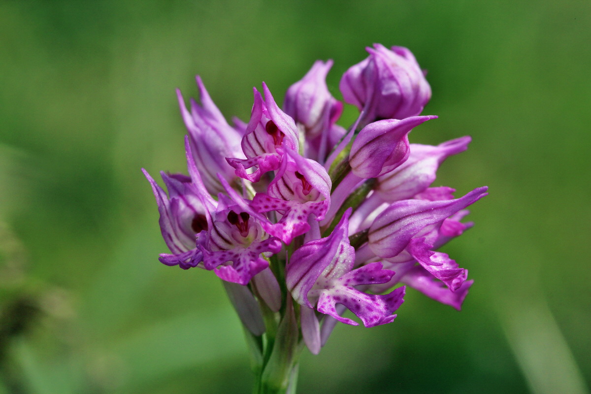 2014_04_23_00040933p_Bildgr��e �ndern