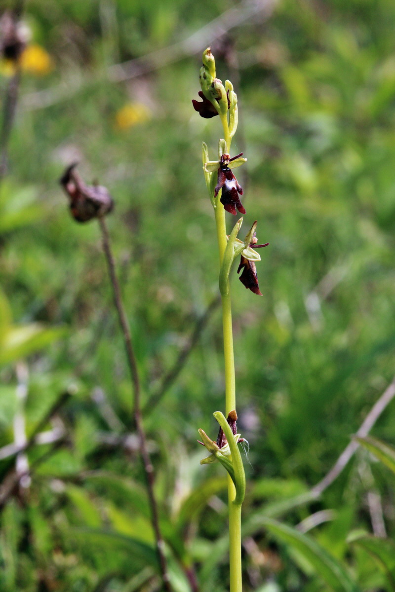 2014_04_23_00040936p_Bildgr��e �ndern