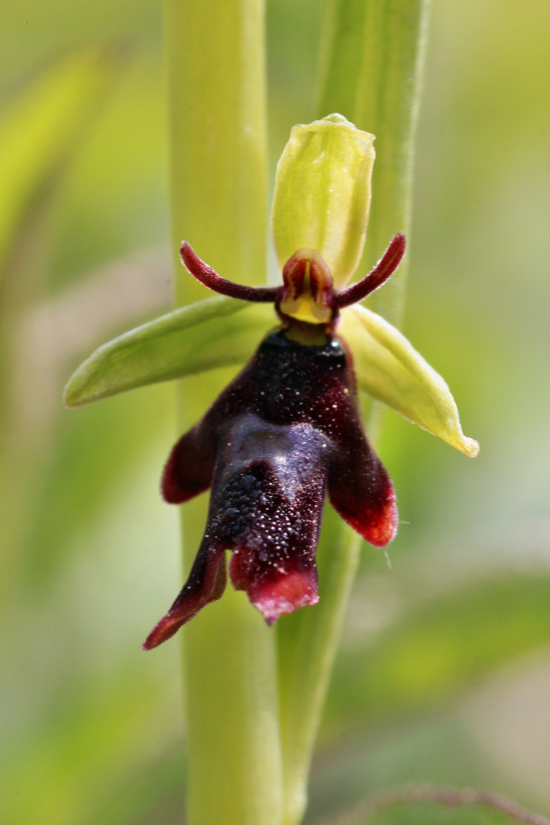 2014_04_23_00040940p_Bildgr��e �ndern