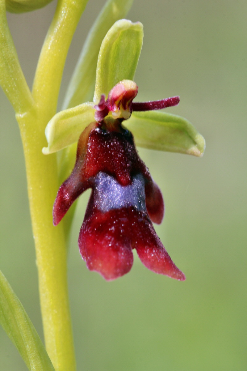 2014_04_23_00040957p_Bildgr��e �ndern