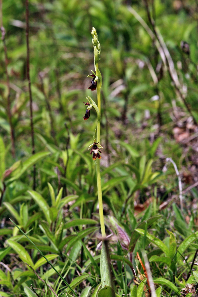 2014_04_23_00040966p_Bildgr��e �ndern