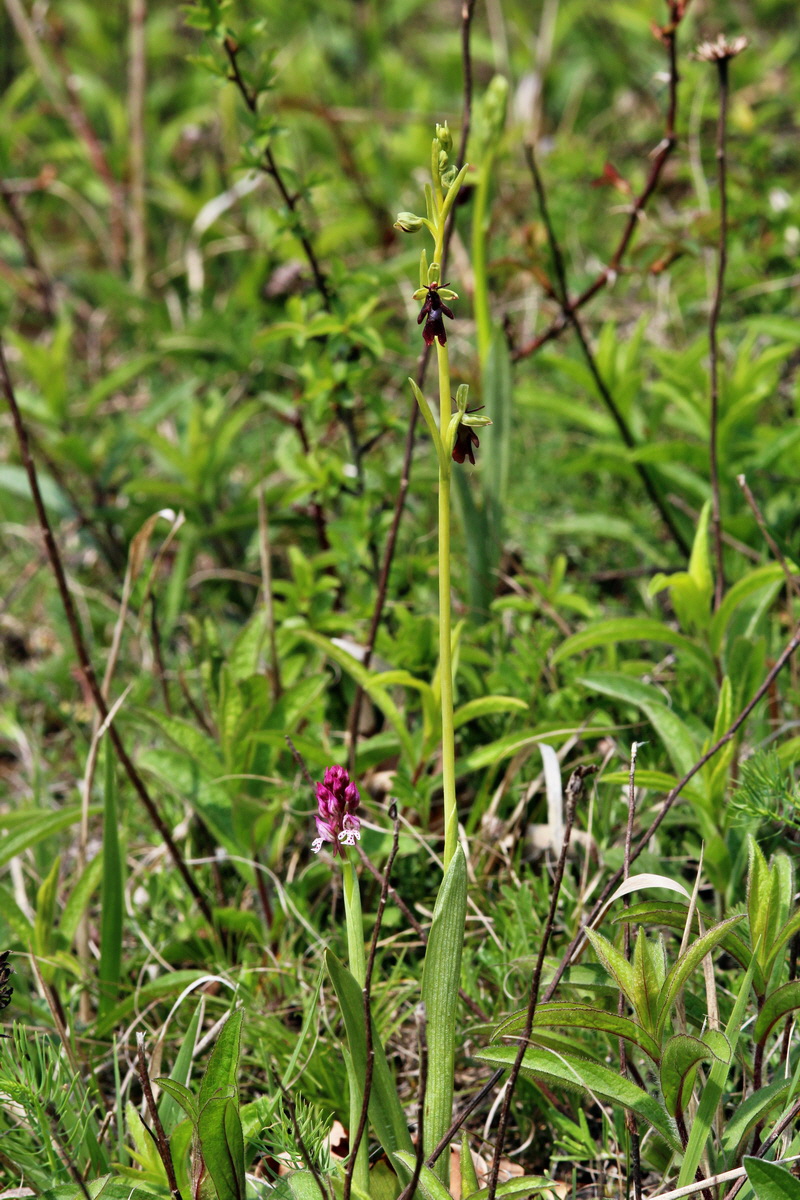 2014_04_23_00040970p_Bildgr��e �ndern