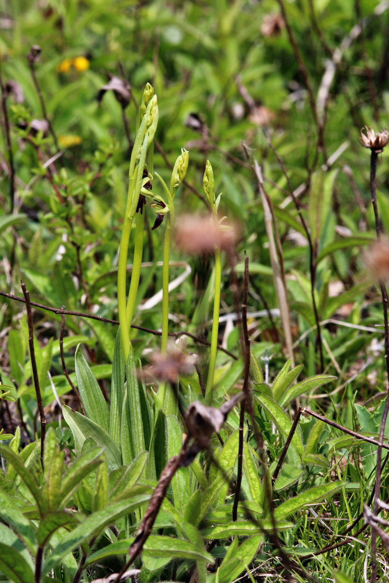 2014_04_23_00040976p_Bildgr��e �ndern