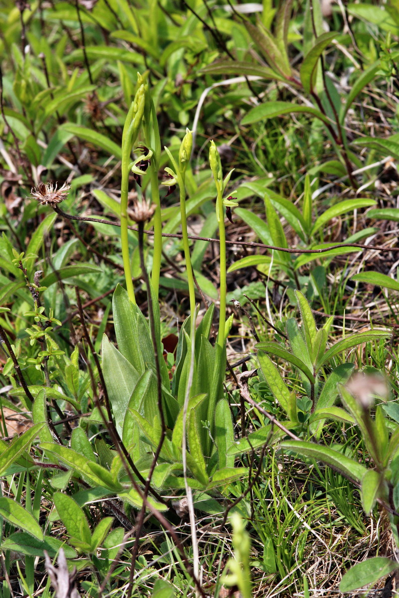 2014_04_23_00040979p_Bildgr��e �ndern