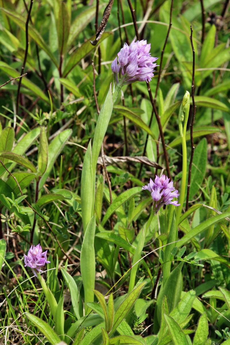 2014_04_23_00040982p_Bildgr��e �ndern