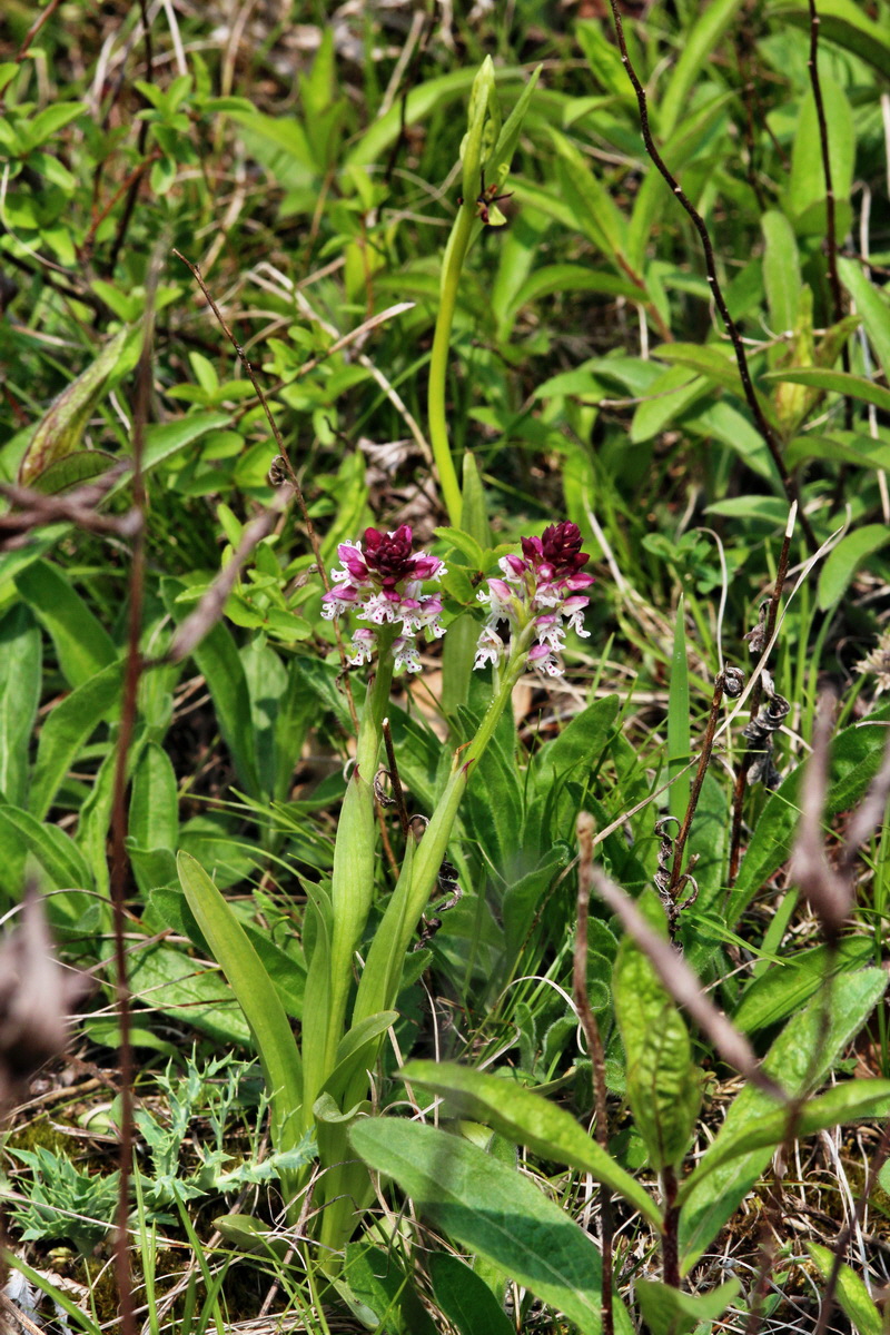 2014_04_23_00040990p_Bildgr��e �ndern