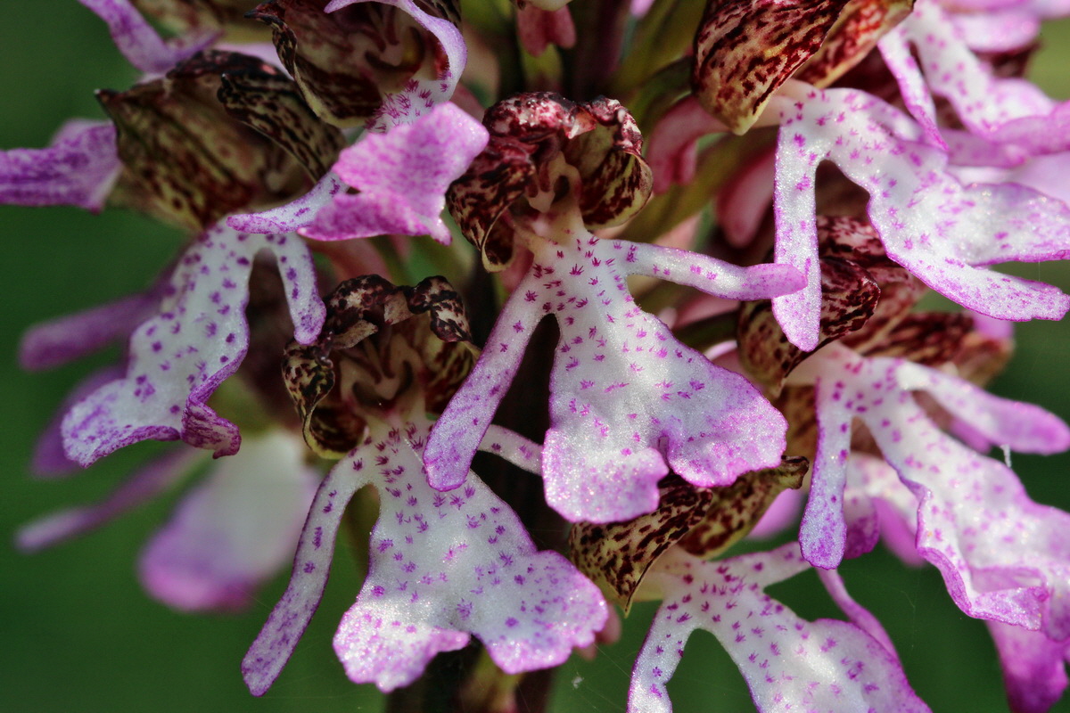 2014_04_23_00041000p_Bildgr��e �ndern