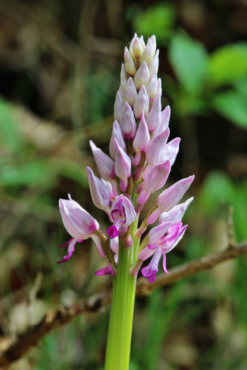 2014_04_23_00041006p_Bildgr��e �ndern