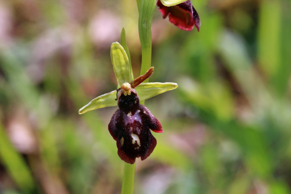 2014_04_23_00041014p_Bildgr��e �ndern