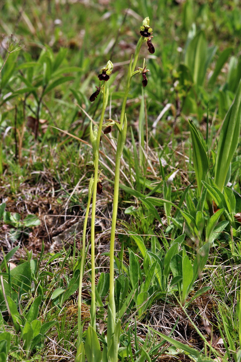 2014_04_23_00041017p_Bildgr��e �ndern