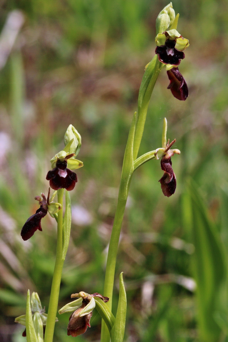 2014_04_23_00041023p_Bildgr��e �ndern