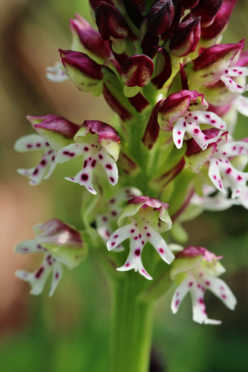 2014_04_23_00041033p_Bildgr��e �ndern