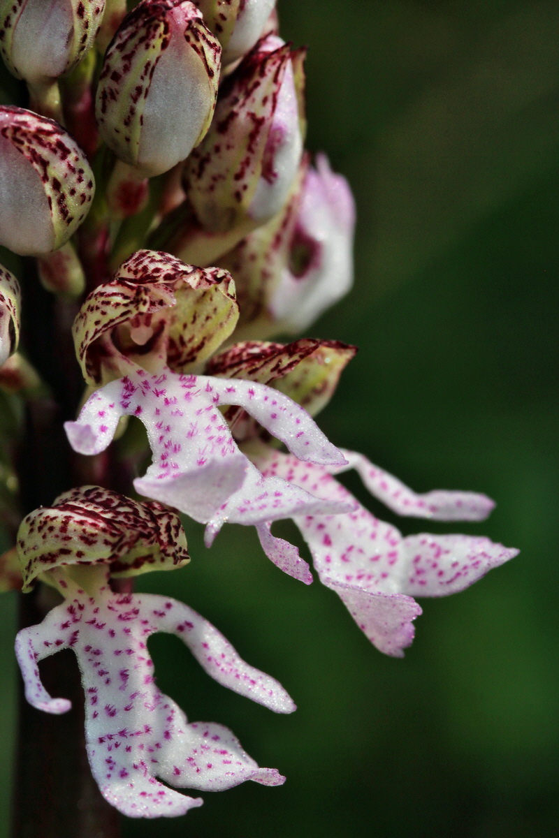 2014_04_23_00041036p_Bildgr��e �ndern