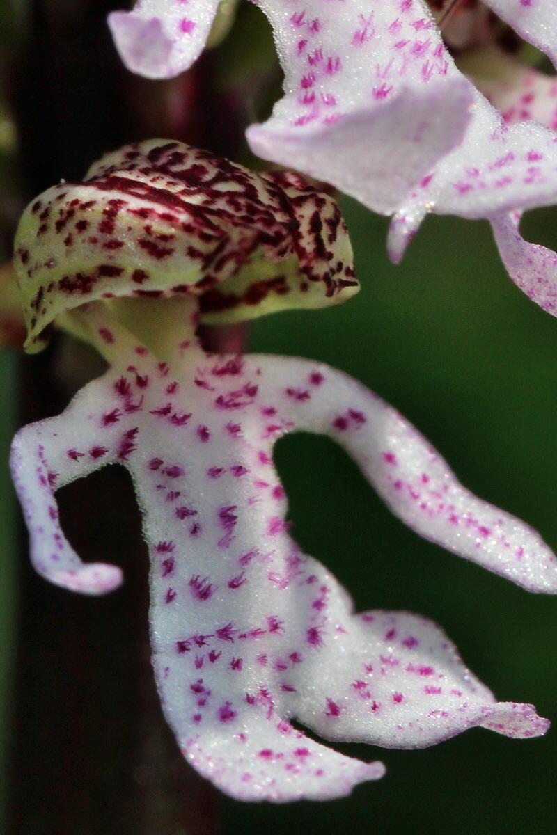 2014_04_23_00041036pa_Bildgr��e �ndern