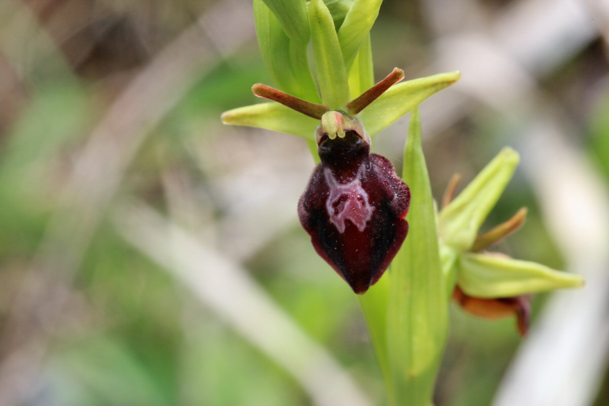 2014_04_23_00041059p_Bildgr��e �ndern