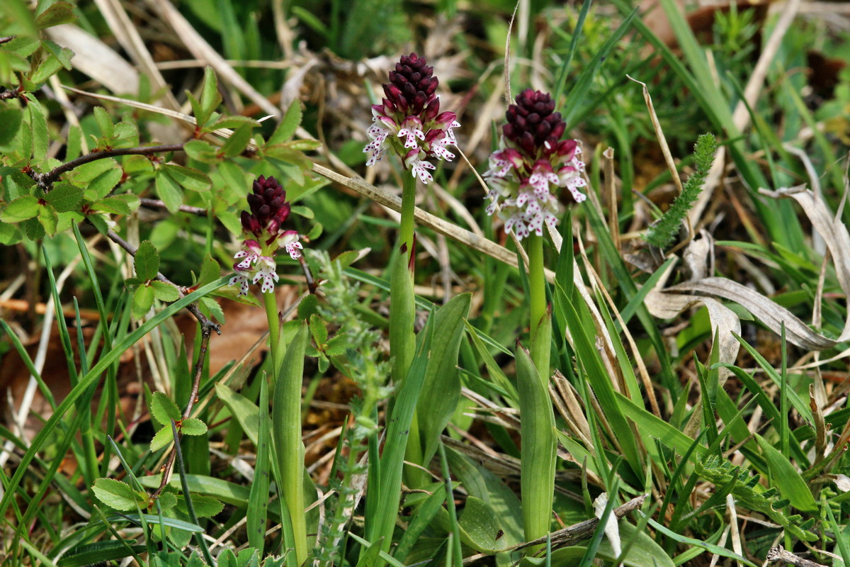 2014_04_23_00041066p_Bildgr��e �ndern