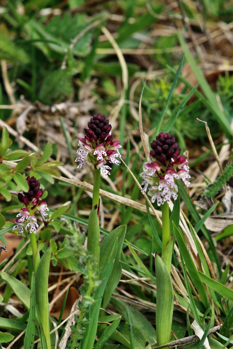 2014_04_23_00041070p_Bildgr��e �ndern