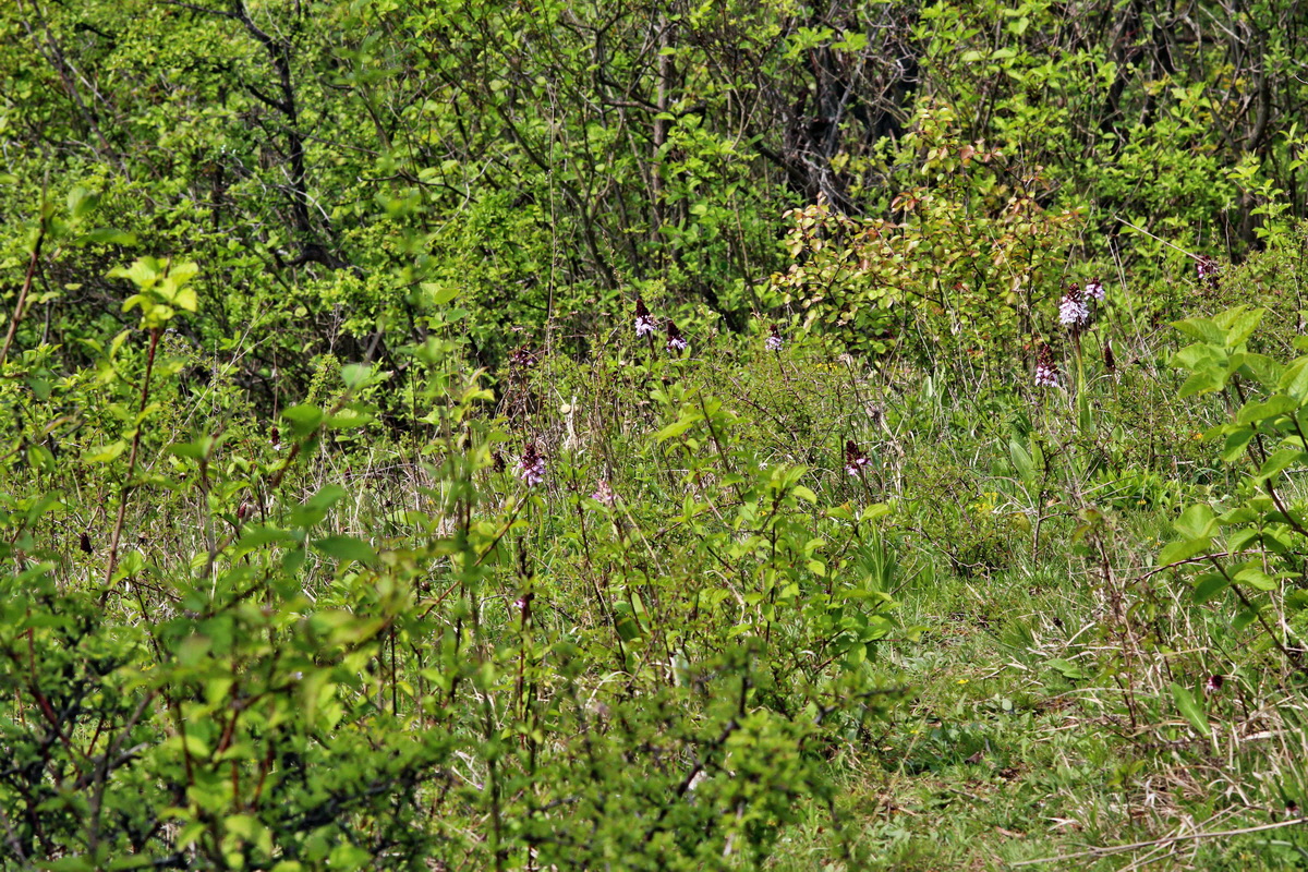 2014_04_23_00041081p_Bildgr��e �ndern