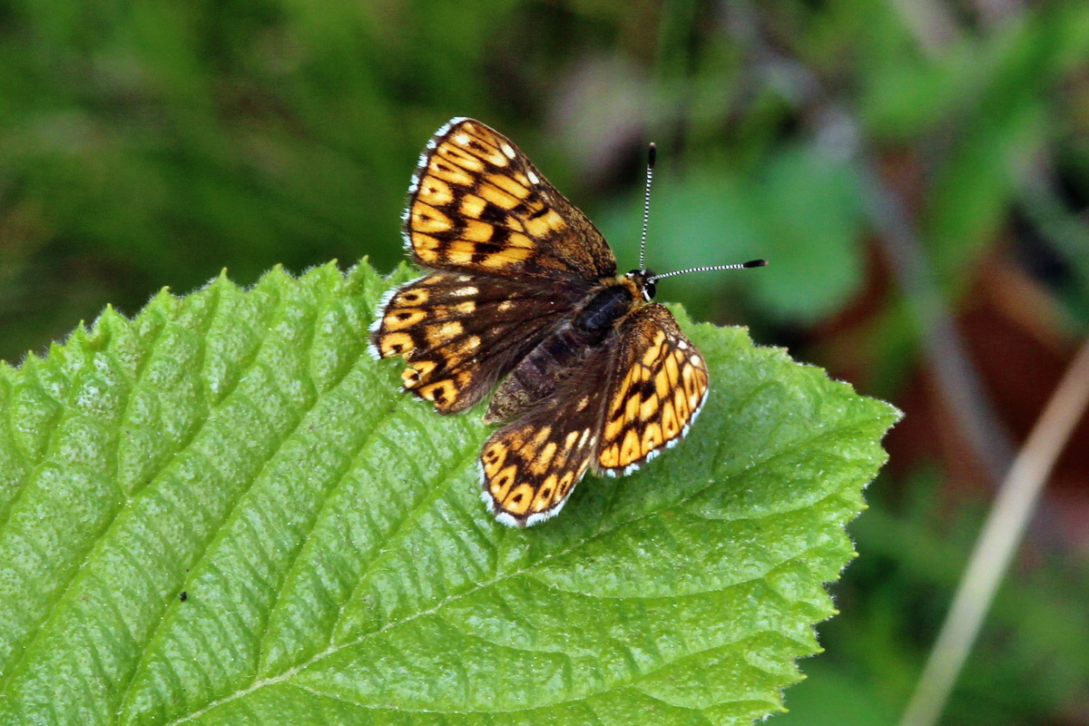 2014_04_23_00041086pa_Bildgr��e �ndern