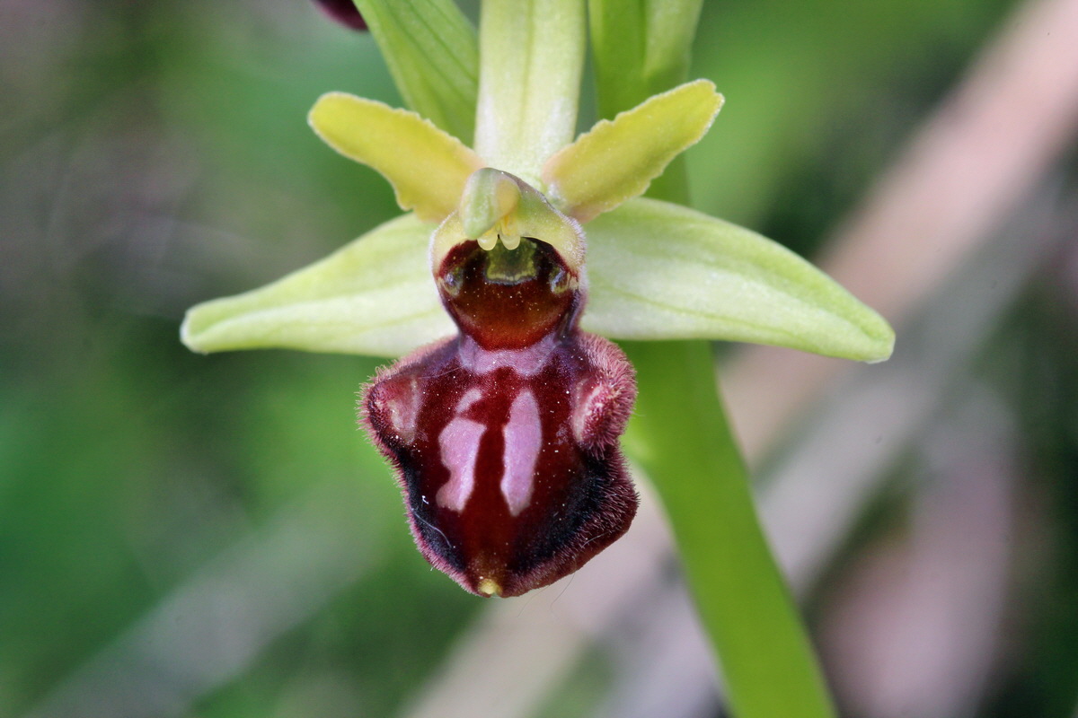 2014_04_23_00041093p_Bildgr��e �ndern