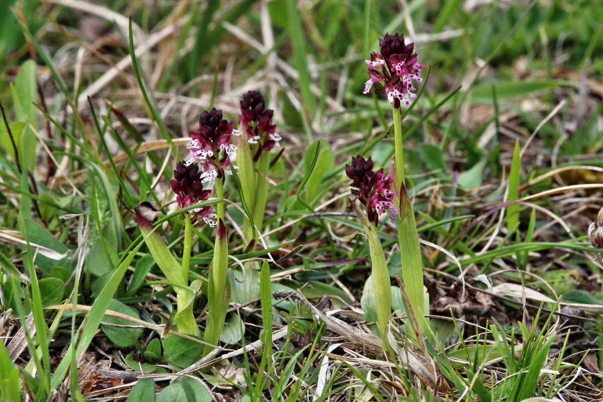 2014_04_23_00041098p_Bildgr��e �ndern