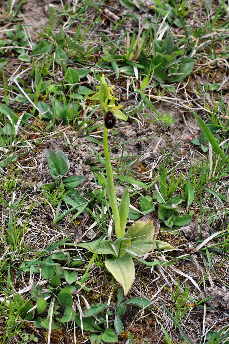 2014_04_23_00041103p_Bildgr��e �ndern