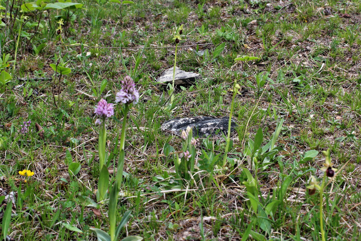 2014_04_23_00041106p_Bildgr��e �ndern