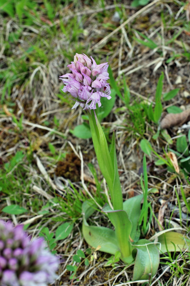 2014_04_23_00041118p_Bildgr��e �ndern