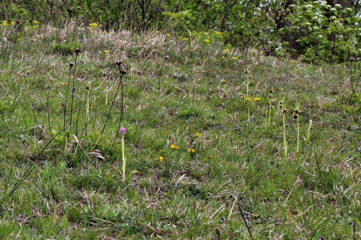 2014_04_23_00041121pa_Bildgr��e �ndern