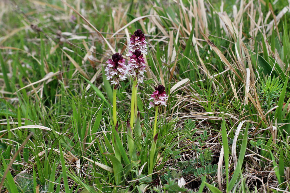 2014_04_23_00041122p_Bildgr��e �ndern