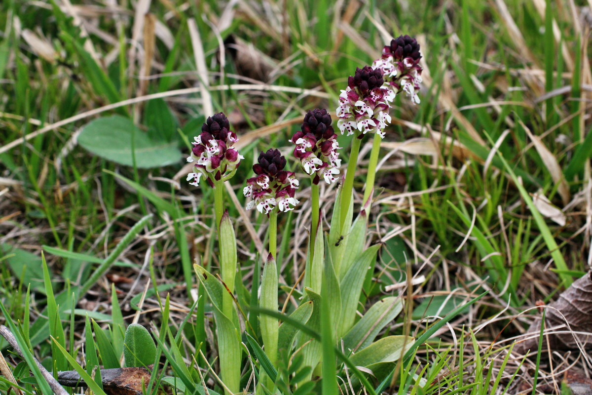 2014_04_23_00041127p_Bildgr��e �ndern