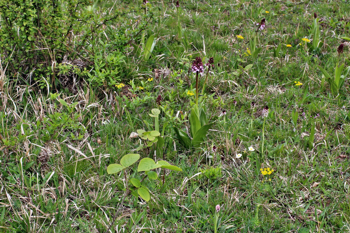 2014_04_23_00041130p_Bildgr��e �ndern