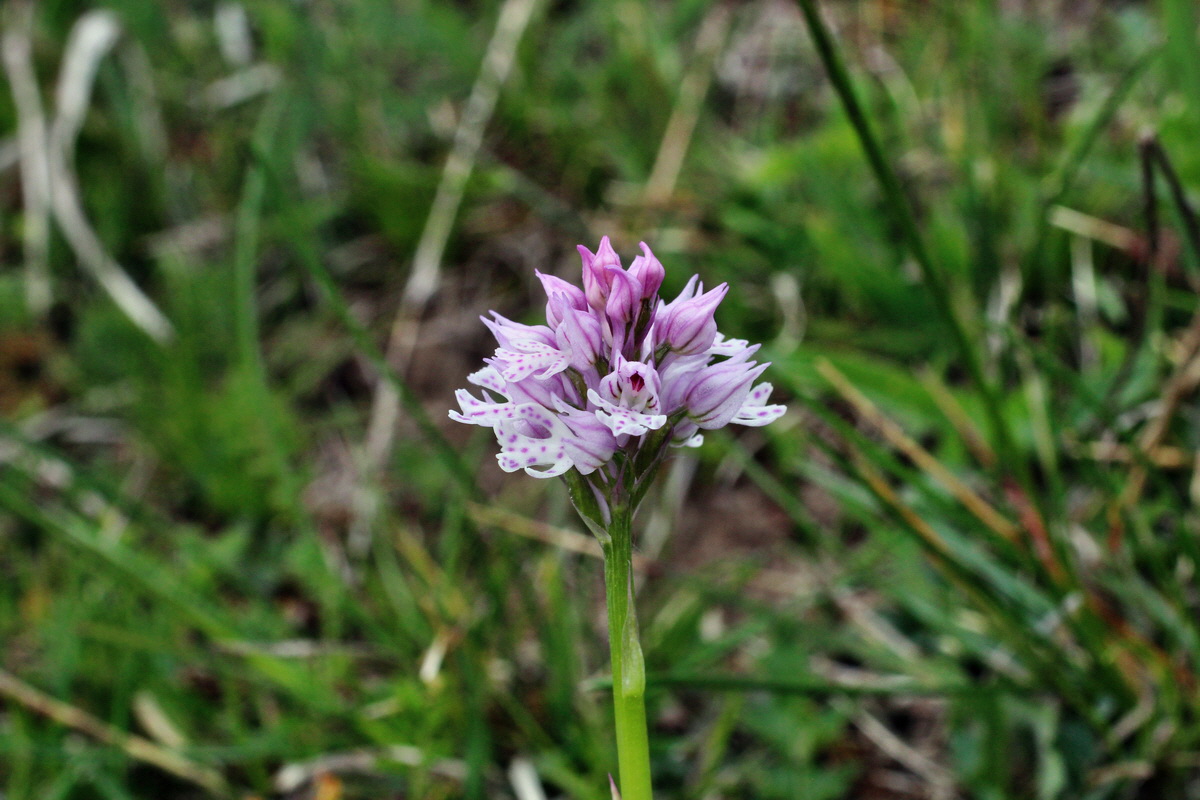 2014_04_23_00041144p_Bildgr��e �ndern