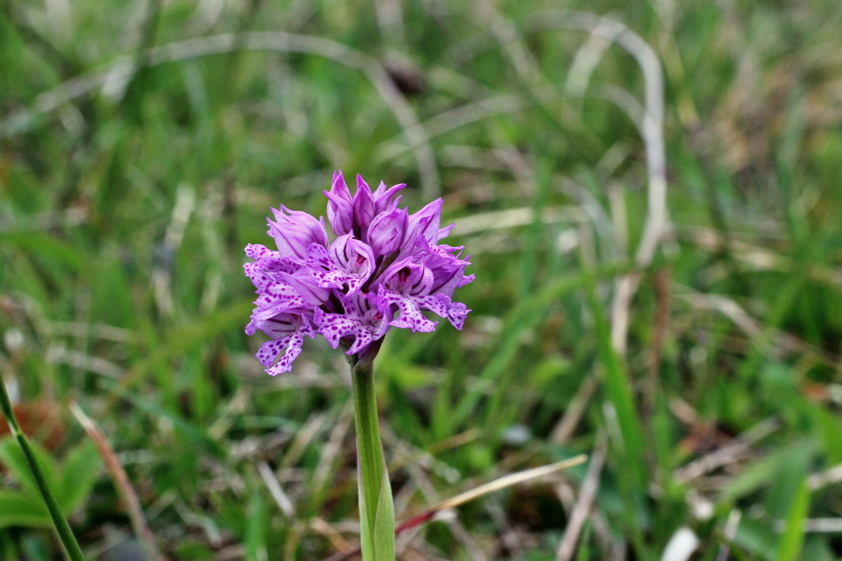 2014_04_23_00041145p_Bildgr��e �ndern