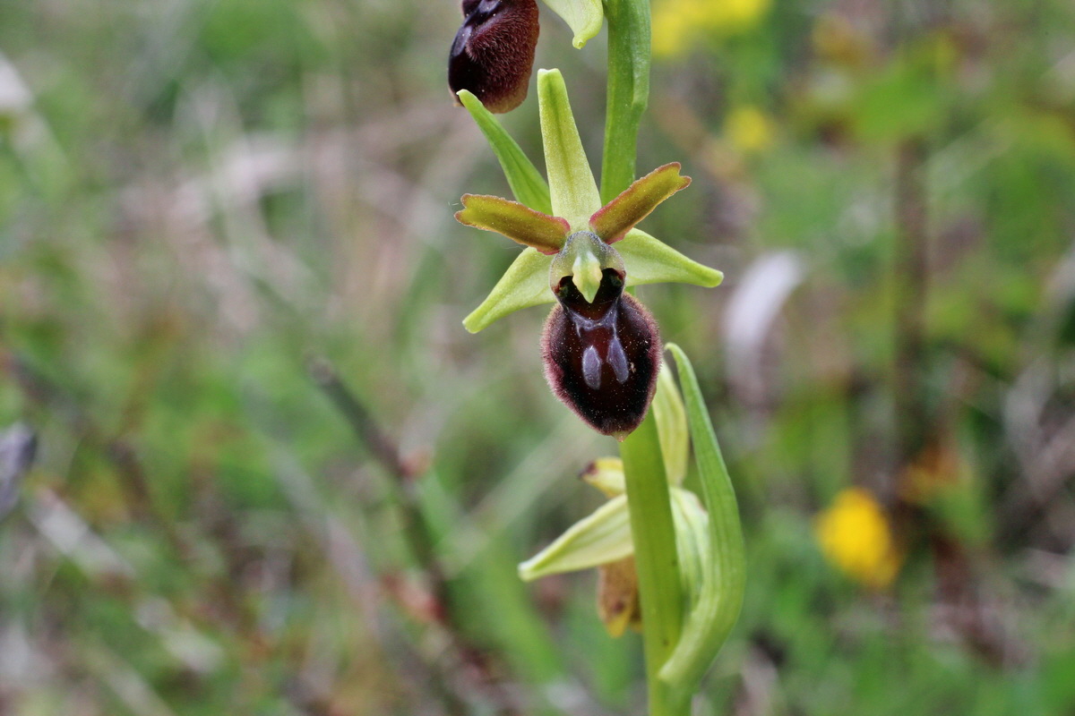 2014_04_23_00041148p_Bildgr��e �ndern