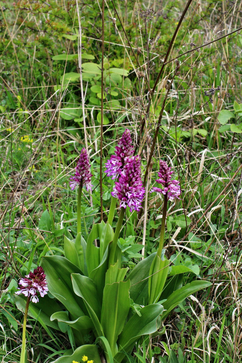 2014_04_23_00041156p_Bildgr��e �ndern