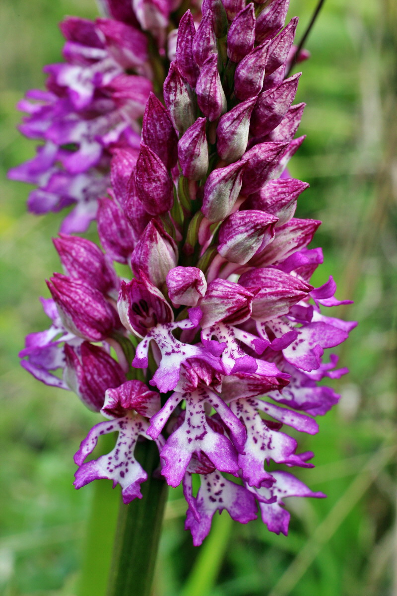 2014_04_23_00041160p_Bildgr��e �ndern