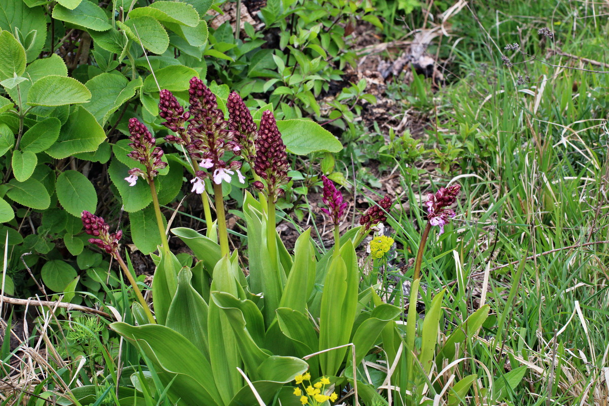 2014_04_23_00041180p_Bildgr��e �ndern