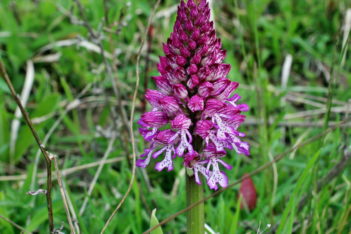 2014_04_23_00041183p_Bildgr��e �ndern