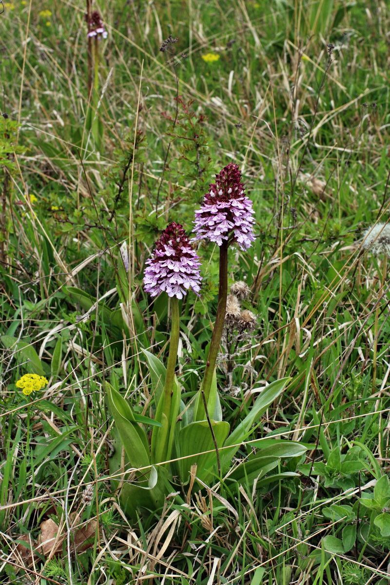 2014_04_23_00041191p_Bildgr��e �ndern