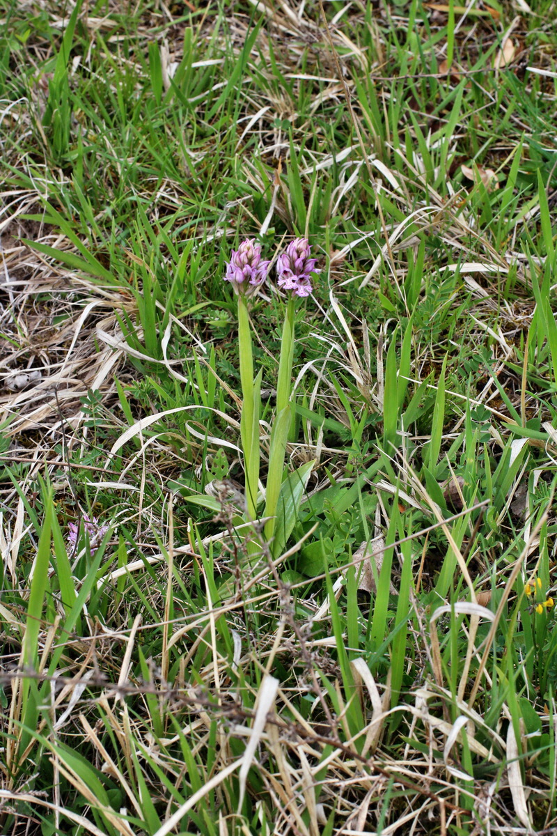 2014_04_23_00041194p_Bildgr��e �ndern