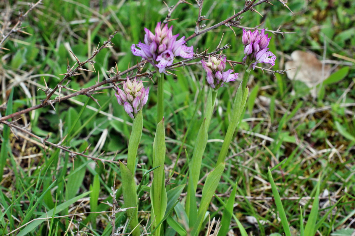 2014_04_23_00041201p_Bildgr��e �ndern