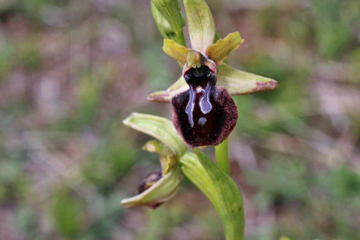 2014_04_23_00041207p_Bildgr��e �ndern