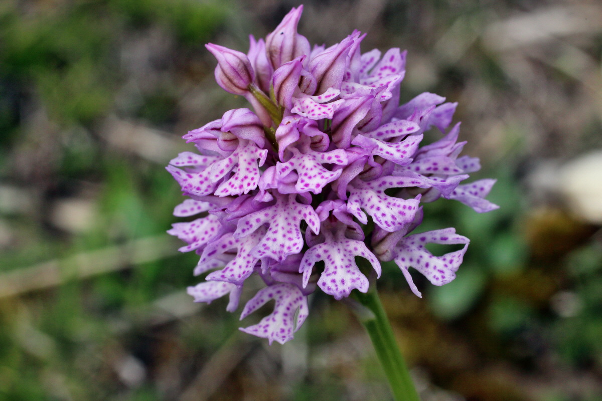 2014_04_23_00041212p_Bildgr��e �ndern