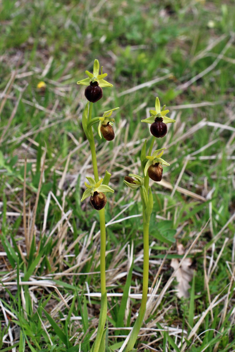 2014_04_23_00041219p_Bildgr��e �ndern